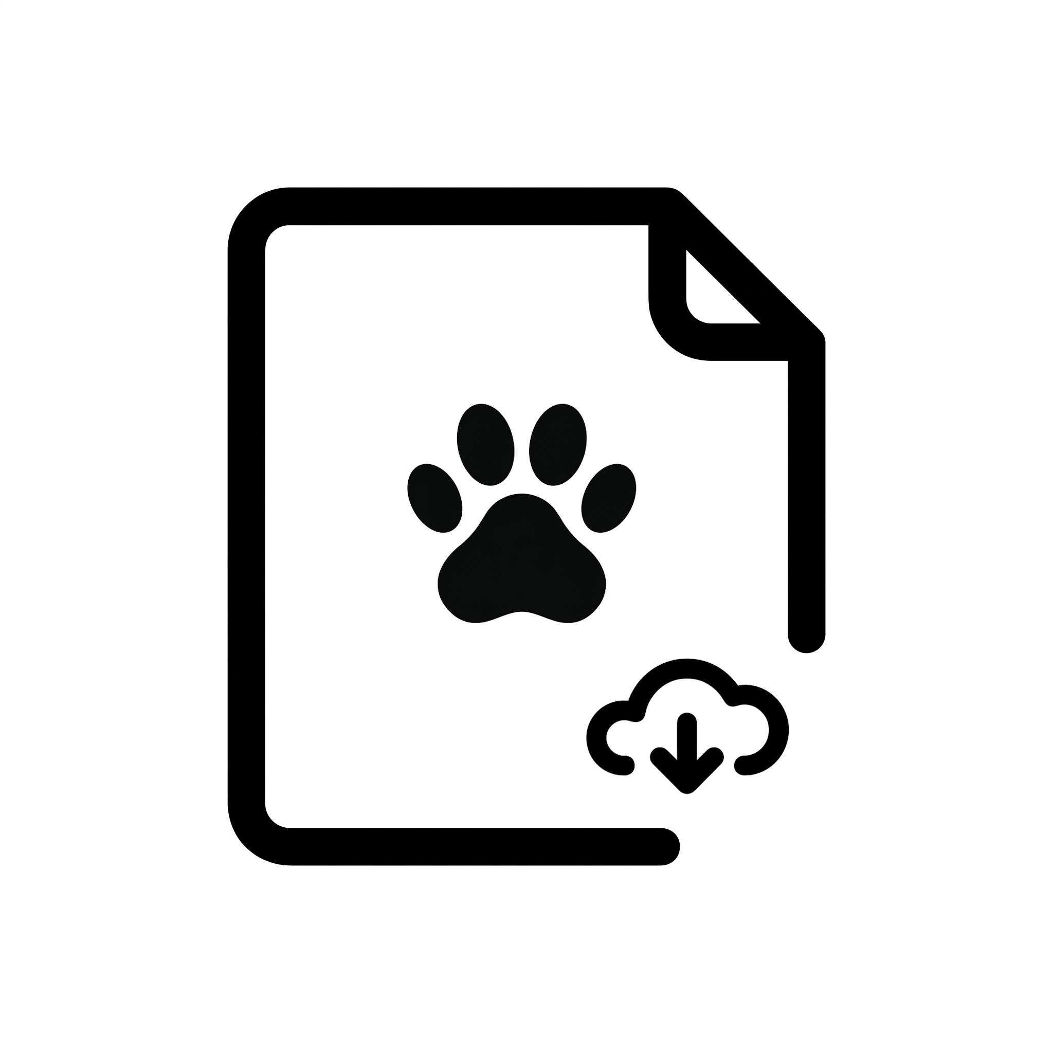 Fichier digital 4K